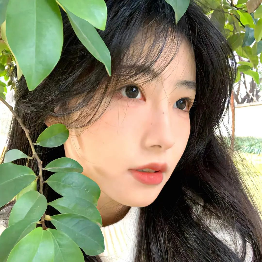 万物生灵 第二季